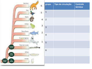 grupo   Tipo de circulação   Controle
6
                                 térmico

5   1


4   2

3
    3

2
    4


1   5


    6
 