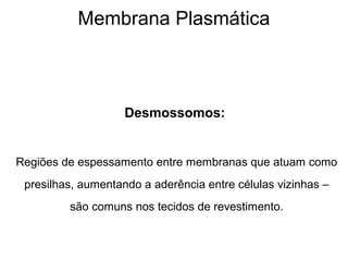 Membrana Plasmática
Desmossomos:
Regiões de espessamento entre membranas que atuam como
presilhas, aumentando a aderência entre células vizinhas –
são comuns nos tecidos de revestimento.
 