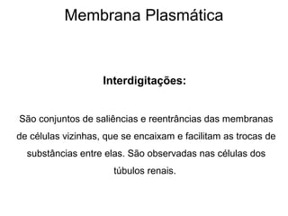 Membrana Plasmática
Interdigitações:
São conjuntos de saliências e reentrâncias das membranas
de células vizinhas, que se encaixam e facilitam as trocas de
substâncias entre elas. São observadas nas células dos
túbulos renais.
 