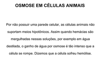 OSMOSE EM CÉLULAS ANIMAIS
Por não possuir uma parede celular, as células animais não
suportam meios hipotônicos. Assim quando hemácias são
mergulhadas nessas soluções, por exemplo em água
destilada, o ganho de água por osmose é tão intenso que a
célula se rompe. Dizemos que a célula sofreu hemólise.
 