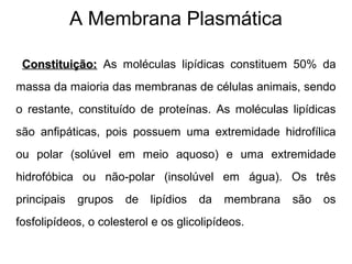 A Membrana Plasmática
Constituição:Constituição: As moléculas lipídicas constituem 50% da
massa da maioria das membranas de células animais, sendo
o restante, constituído de proteínas. As moléculas lipídicas
são anfipáticas, pois possuem uma extremidade hidrofílica
ou polar (solúvel em meio aquoso) e uma extremidade
hidrofóbica ou não-polar (insolúvel em água). Os três
principais grupos de lipídios da membrana são os
fosfolipídeos, o colesterol e os glicolipídeos.
 