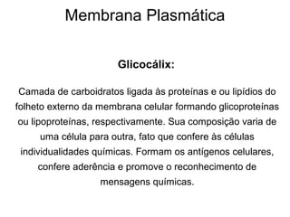 Membrana Plasmática
Glicocálix:
Camada de carboidratos ligada às proteínas e ou lipídios do
folheto externo da membrana celular formando glicoproteínas
ou lipoproteínas, respectivamente. Sua composição varia de
uma célula para outra, fato que confere às células
individualidades químicas. Formam os antígenos celulares,
confere aderência e promove o reconhecimento de
mensagens químicas.
 
