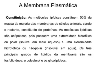 A Membrana Plasmática
Constituição:Constituição: As moléculas lipídicas constituem 50% da
massa da maioria das membranas de células animais, sendo
o restante, constituído de proteínas. As moléculas lipídicas
são anfipáticas, pois possuem uma extremidade hidrofílica
ou polar (solúvel em meio aquoso) e uma extremidade
hidrofóbica ou não-polar (insolúvel em água). Os três
principais grupos de lipídios da membrana são os
fosfolipídeos, o colesterol e os glicolipídeos.
 
