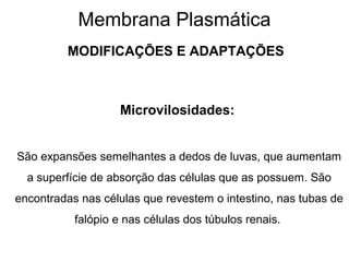 Membrana Plasmática
MODIFICAÇÕES E ADAPTAÇÕES
Microvilosidades:
São expansões semelhantes a dedos de luvas, que aumentam
a superfície de absorção das células que as possuem. São
encontradas nas células que revestem o intestino, nas tubas de
falópio e nas células dos túbulos renais.
 