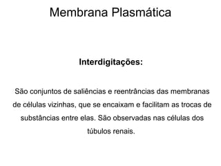Membrana Plasmática
Interdigitações:
São conjuntos de saliências e reentrâncias das membranas
de células vizinhas, que se encaixam e facilitam as trocas de
substâncias entre elas. São observadas nas células dos
túbulos renais.
 