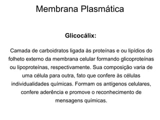 Membrana Plasmática
Glicocálix:
Camada de carboidratos ligada às proteínas e ou lipídios do
folheto externo da membrana celular formando glicoproteínas
ou lipoproteínas, respectivamente. Sua composição varia de
uma célula para outra, fato que confere às células
individualidades químicas. Formam os antígenos celulares,
confere aderência e promove o reconhecimento de
mensagens químicas.
 