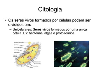 Citologia Os seres vivos formados por células podem ser divididos em: Unicelulares: Seres vivos formados por uma única célula. Ex: bactérias, algas e protozoários. 