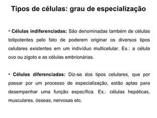 Tipos de células: grau de especialização Células indiferenciadas:  São denominadas também de células totipotentes pelo fato de poderem originar os diversos tipos celulares existentes em um indivíduo multicelular. Ex.: a célula ovo ou zigoto e as células embrionárias. Células diferenciadas:  Diz-se dos tipos celulares, que por passar por um processo de especialização, estão aptas para desempenhar uma função específica. Ex.: células hepáticas, musculares, ósseas, nervosas etc. 