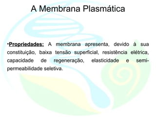 A Membrana Plasmática Propriedades:  A membrana apresenta, devido à sua constituição, baixa tensão superficial, resistência elétrica, capacidade de regeneração, elasticidade e semi-permeabilidade seletiva. 