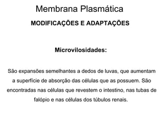Membrana Plasmática MODIFICAÇÕES E ADAPTAÇÕES Microvilosidades:   São expansões semelhantes a dedos de luvas, que aumentam a superfície de absorção das células que as possuem. São encontradas nas células que revestem o intestino, nas tubas de falópio e nas células dos túbulos renais.  