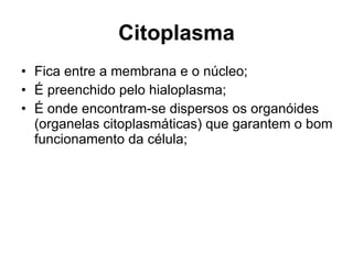 Citoplasma Fica entre a membrana e o núcleo; É preenchido pelo hialoplasma; É onde encontram-se dispersos os organóides (organelas citoplasmáticas) que garantem o bom funcionamento da célula; 