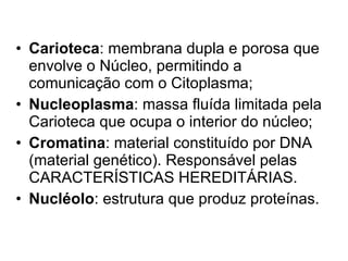 Carioteca : membrana dupla e porosa que envolve o Núcleo, permitindo a comunicação com o Citoplasma; Nucleoplasma : massa fluída limitada pela Carioteca que ocupa o interior do núcleo; Cromatina : material constituído por DNA (material genético). Responsável pelas CARACTERÍSTICAS HEREDITÁRIAS. Nucléolo : estrutura que produz proteínas. 
