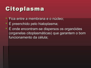 Citoplasma
   Fica entre a membrana e o núcleo;
   É preenchido pelo hialoplasma;
   É onde encontram-se dispersos os organóides
    (organelas citoplasmáticas) que garantem o bom
    funcionamento da célula;
 