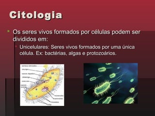 Citologia
 Os seres vivos formados por células podem ser
  divididos em:
   Unicelulares: Seres vivos formados por uma única
    célula. Ex: bactérias, algas e protozoários.
 
