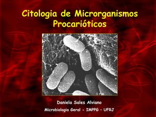 Citologia de Microrganismos Procarióticos Daniela Sales Alviano Microbiologia Geral - IMPPG – UFRJ 