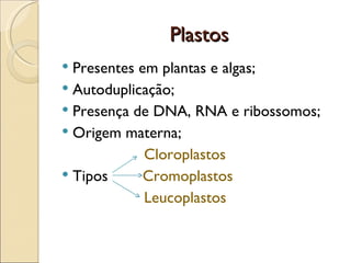 Plastos
 Presentes em plantas e algas;
 Autoduplicação;
 Presença de DNA, RNA e ribossomos;
 Origem materna;
             Cloroplastos
 Tipos      Cromoplastos
             Leucoplastos
 