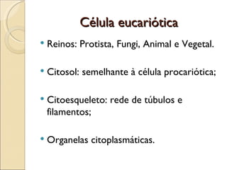 Célula eucariótica
   Reinos: Protista, Fungi, Animal e Vegetal.

   Citosol: semelhante à célula procariótica;

   Citoesqueleto: rede de túbulos e
    filamentos;

   Organelas citoplasmáticas.
 