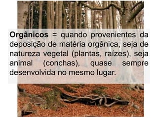 Orgânicos = quando provenientes da
deposição de matéria orgânica, seja de
natureza vegetal (plantas, raízes), seja
animal (conchas), quase sempre
desenvolvida no mesmo lugar.
 