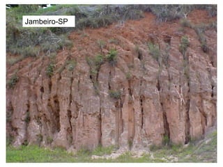 Jambeiro-SP
 