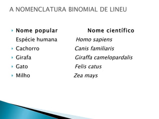 Nome popular  Nome científico Espécie humana  Homo sapiens Cachorro  Canis familiaris Girafa  Giraffa camelopardalis Gato  Felis catus Milho  Zea mays 