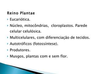 Reino Plantae Eucariótica. Núcleo, mitocôndrias,  cloroplastos. Parede celular celulósica. Multicelulares, com diferenciação de tecidos. Autotróficos (fotossíntese). Produtores. Musgos, plantas com e sem flor. 