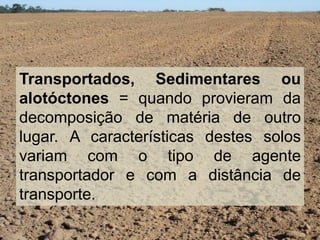 Transportados, Sedimentares ou
alotóctones = quando provieram da
decomposição de matéria de outro
lugar. A características destes solos
variam com o tipo de agente
transportador e com a distância de
transporte.
 