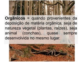 Orgânicos = quando provenientes da
deposição de matéria orgânica, seja de
natureza vegetal (plantas, raízes), seja
animal (conchas), quase sempre
desenvolvida no mesmo lugar.
 