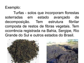 Exemplo:
Turfas - solos que incorporam florestas
soterradas em estado avançado de
decomposição. Tem estrutura fibrilar
composta de restos de fibras vegetais. Tem
ocorrência registrada na Bahia, Sergipe, Rio
Grande do Sul e outros estados do Brasil.
 