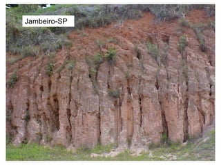 Jambeiro-SP
 