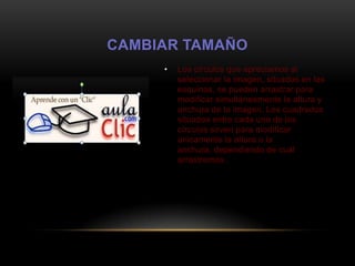 CAMBIAR TAMAÑO
     •   Los círculos que apreciamos al
         seleccionar la imagen, situados en las
         esquinas, se pueden arrastrar para
         modificar simultáneamente la altura y
         anchura de la imagen. Los cuadrados
         situados entre cada uno de los
         círculos sirven para modificar
         únicamente la altura o la
         anchura, dependiendo de cuál
         arrastremos.
 