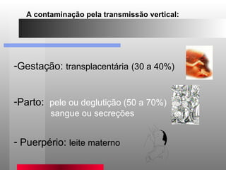 A contaminação pela transmissão vertical: Gestação:  transplacentária   (30 a 40%) Parto:  pele ou deglutição (50 a 70%) sangue ou secreções   Puerpério:  leite materno 