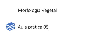 Morfologia Vegetal
Aula prática 05
 