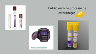 Padrão ouro no processo de
esterilização
 