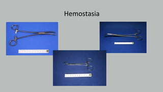 Hemostasia
 
