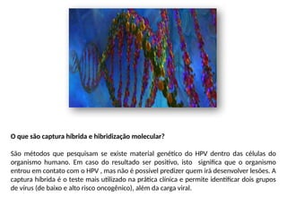 O que são captura híbrida e hibridização molecular?
São métodos que pesquisam se existe material genético do HPV dentro das células do
organismo humano. Em caso do resultado ser positivo, isto significa que o organismo
entrou em contato com o HPV , mas não é possível predizer quem irá desenvolver lesões. A
captura híbrida é o teste mais utilizado na prática clínica e permite identificar dois grupos
de vírus (de baixo e alto risco oncogênico), além da carga viral.
 