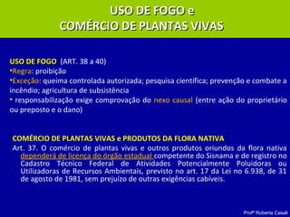 Profª Roberta Casali
USO DE FOGO eUSO DE FOGO e
COMÉRCIO DE PLANTAS VIVASCOMÉRCIO DE PLANTAS VIVAS
USO DE FOGOUSO DE FOGO (ART. 38 a 40)
•Regra: proibição
•Exceção: queima controlada autorizada; pesquisa científica; prevenção e combate a
incêndio; agricultura de subsistência
• responsabilização exige comprovação do nexo causal (entre ação do proprietário
ou preposto e o dano)
COMÉRCIO DE PLANTAS VIVAS e PRODUTOS DA FLORA NATIVA
Art. 37. O comércio de plantas vivas e outros produtos oriundos da flora nativa
dependerá de licença do órgão estadual competente do Sisnama e de registro no
Cadastro Técnico Federal de Atividades Potencialmente Poluidoras ou
Utilizadoras de Recursos Ambientais, previsto no art. 17 da Lei no 6.938, de 31
de agosto de 1981, sem prejuízo de outras exigências cabíveis.
 