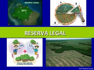 Profª Roberta Casali
RESERVA LEGALRESERVA LEGAL
 