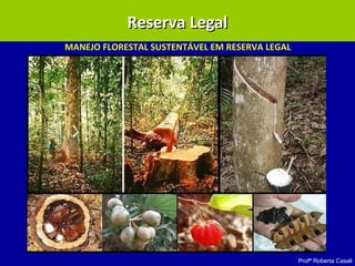 Profª Roberta Casali
MANEJO FLORESTAL SUSTENTÁVEL EM RESERVA LEGAL
Reserva LegalReserva Legal
 