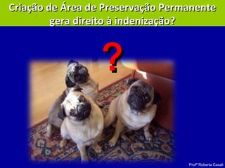 Profª Roberta Casali
Criação de Área de Preservação PermanenteCriação de Área de Preservação Permanente
gera direito à indenização?gera direito à indenização?
??
 