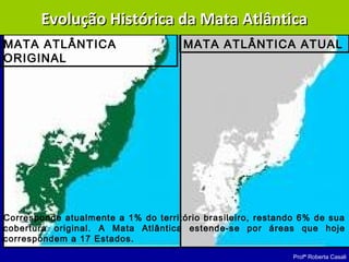 Profª Roberta Casali
MATA ATLÂNTICA
ORIGINAL
MATA ATLÂNTICA ATUAL
Evolução Histórica da Mata AtlânticaEvolução Histórica da Mata Atlântica
Corresponde atualmente a 1% do território brasileiro, restando 6% de sua
cobertura original. A Mata Atlântica estende-se por áreas que hoje
correspondem a 17 Estados.
 