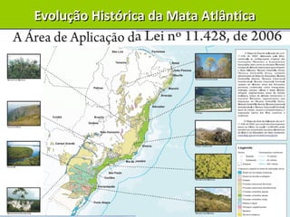 Profª Roberta Casali
Evolução Histórica da Mata AtlânticaEvolução Histórica da Mata Atlântica
 