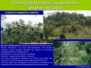 Profª Roberta Casali
Formações Florestais/ecossistemasFormações Florestais/ecossistemas
da Mata Atlânticada Mata Atlântica
floresta ombrófila aberta é considerada uma área de transição entre a
Floresta Amazônica e as áreas extra-amazônicas. Esta floresta
apresenta quatro faciações florísticas que alteram a fisionomia
ecológica da floresta ombrófila densa:
Com palmeira – cocal; Com bambu – bambuzal;
Com cipó – cipozal; Com sororoca – sororocal.
Tem como característica ambientes com climas mais secos, que
chegam de 2 a 4 meses por ano, com temperaturas de 24 à 25°C.
Seu nome advém por conseqüência da fitomassa e o fitovolume de
recobrimento, que vão diminuindo gradativamente de densidade.
FLORESTA OMBRÓFILA ABERTA
 