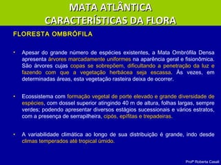 Profª Roberta Casali
FLORESTA OMBRÓFILAFLORESTA OMBRÓFILA
• Apesar do grande número de espécies existentes, a Mata Ombrófila Densa
apresenta árvores marcadamente uniformes na aparência geral e fisionômica.
São árvores cujas copas se sobrepõem, dificultando a penetração da luz e
fazendo com que a vegetação herbácea seja escassa. Às vezes, em
determinadas áreas, esta vegetação rasteira deixa de ocorrer.
• Ecossistema com formação vegetal de porte elevado e grande diversidade de
espécies, com dossel superior atingindo 40 m de altura, folhas largas, sempre
verdes; podendo apresentar diversos estágios sucessionais e vários estratos,
com a presença de serrapilheira, cipós, epífitas e trepadeiras.
• A variabilidade climática ao longo de sua distribuição é grande, indo desde
climas temperados até tropical úmido.
MATA ATLÂNTICAMATA ATLÂNTICA
CARACTERÍSTICAS DA FLORACARACTERÍSTICAS DA FLORA
 