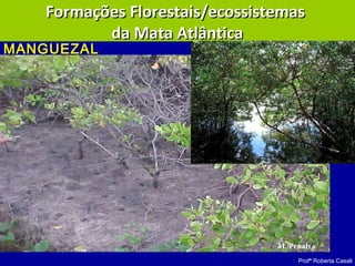 Profª Roberta Casali
M. Penalva
Formações Florestais/ecossistemasFormações Florestais/ecossistemas
da Mata Atlânticada Mata Atlântica
MANGUEZALMANGUEZAL
 