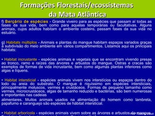 Profª Roberta Casali
f) Berçário de espéciesBerçário de espécies - Grande viveiro para as espécies que passam aí todas as
fases da sua vida, bem como para aquelas temporárias ou facultativas. Alguns
animais, cujos adultos habitam o ambiente costeiro, passam fases da sua vida no
estuário.
g) Habitats múltiplosHabitats múltiplos - Animais e plantas do mangue habitam espaços variados graças
à subdivisão do meio ambiente em vários compartimentos. Listamos aqui os principais
habitats:
• Habitat incrustante - espécies animais e vegetais que se encontram vivendo presas
ao tronco, ramo e raízes das árvores e arbustos do mangue. Ostras e cracas são
exemplos de formas de vida incrustante, bem como algumas plantas inferiores como
algas e líquens.
• Habitat intersticial - espécies animais vivem nos interstícios ou espaços dentro do
lodo ou areia do substrato. O mangue é riquíssimo em espécies intersticiais,
principalmente moluscos, vermes e crustáceos. Formas de pequeno tamanho como
vermes, microcrustáceos, algas de tamanho reduzido e bactérias, são bem numerosas
e importantes nas cadeias
alimentares. Muitos animais usados na alimentação do homem como lambreta,
papafumo e caranguejo são espécies de hábitat intersticial.
• Habitat arborícola - espécies animais vivem sobre as árvores e arbustos do mangue.
Formações Florestais/ecossistemasFormações Florestais/ecossistemas
da Mata Atlânticada Mata Atlântica
 