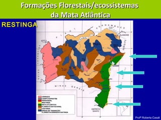 Profª Roberta Casali
RESTINGARESTINGA
Formações Florestais/ecossistemasFormações Florestais/ecossistemas
da Mata Atlânticada Mata Atlântica
 