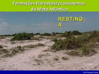 Profª Roberta Casali
C. Pinha
RESTINGRESTING
AA
Formações Florestais/ecossistemasFormações Florestais/ecossistemas
da Mata Atlânticada Mata Atlântica
 