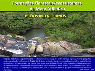 Profª Roberta Casali
Formações Florestais/ecossistemasFormações Florestais/ecossistemas
da Mata Atlânticada Mata Atlântica
BREJOS INTERIORANOSBREJOS INTERIORANOS
Brejo de altitude ou brejo interiorano, são denominações dadas pelos ambientalistas, e principalmente geógrafos,
para áreas situadas no interior da Região Nordeste no perímetro das secas, marcado por um clima tropical úmido
ou sub-úmido, em alguns casos até mesmo subtropical, que devido a altitude criam todas as condições necessárias
ao desenvolvimento de uma flora que reúne tanto características da Mata Atlântica (Floresta Ombrófila Densa)
quanto da caatinga (Savana Estépica), contrastando com as áreas circundantes que possuem condições climáticas
mais secas.
 