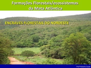 Profª Roberta Casali
Formações Florestais/ecossistemasFormações Florestais/ecossistemas
da Mata Atlânticada Mata Atlântica
ENCRAVES FLORESTAIS DO NORDESTEENCRAVES FLORESTAIS DO NORDESTE
 