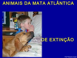 Profª Roberta Casali
ANIMAIS DA MATA ATLÂNTICA
AMEAÇADOS
DE EXTINÇÃO
 
